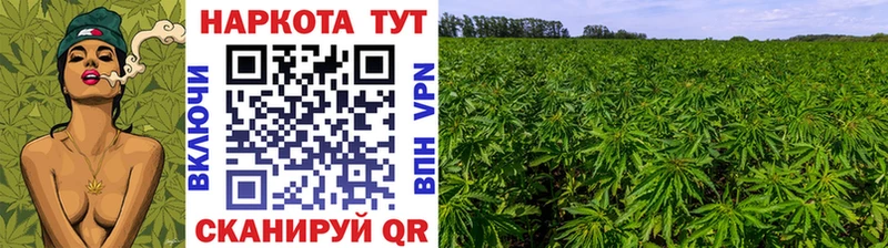 Продажа наркотиков Вольск ГАШИШ  Cocaine  Меф мяу мяу  МЕТАДОН  Марихуана 
