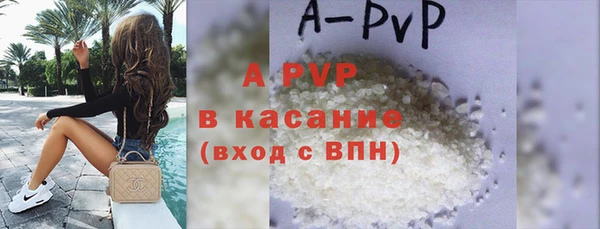 гидра Белокуриха