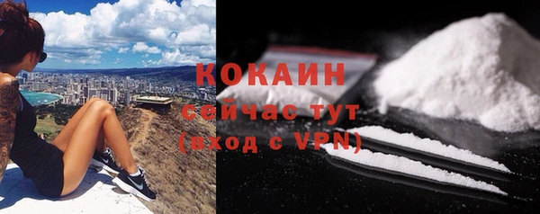 гидра Белокуриха