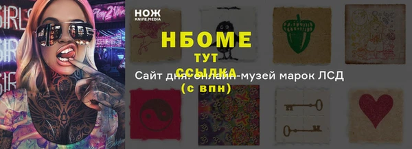 гидра Белокуриха