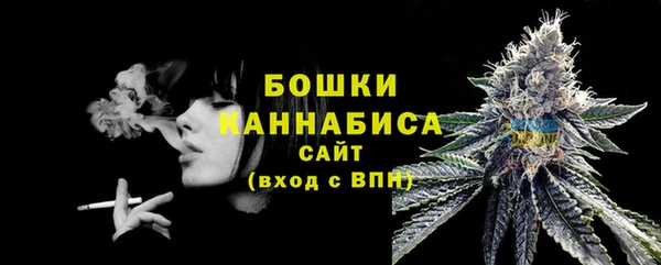 PSILOCYBIN Беломорск