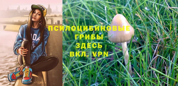 гидра Белокуриха