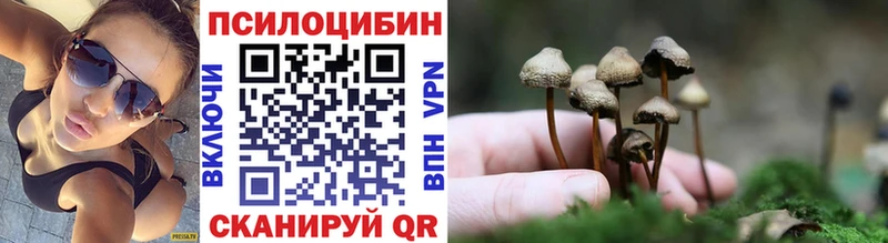 hydra Вольск Псилоцибиновые грибы MAGIC MUSHROOMS